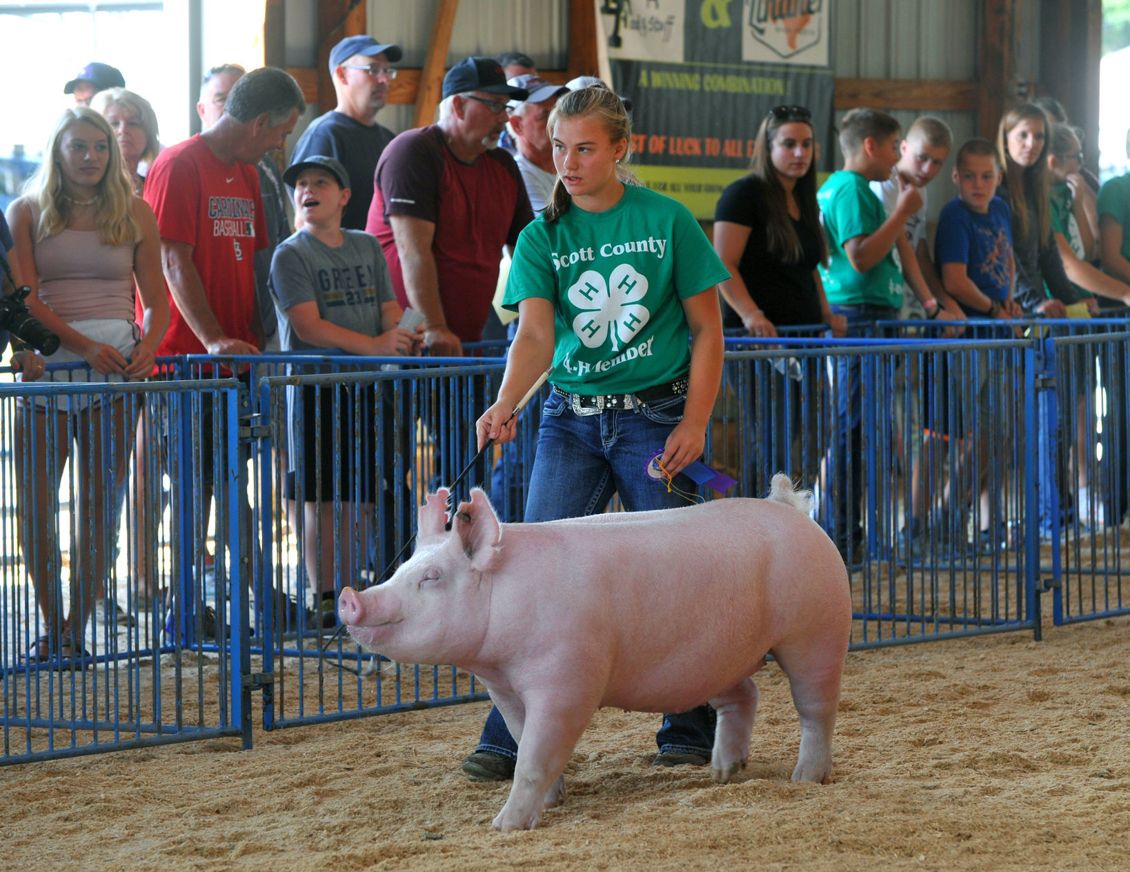 Day 5 of the Mississippi Valley Fair